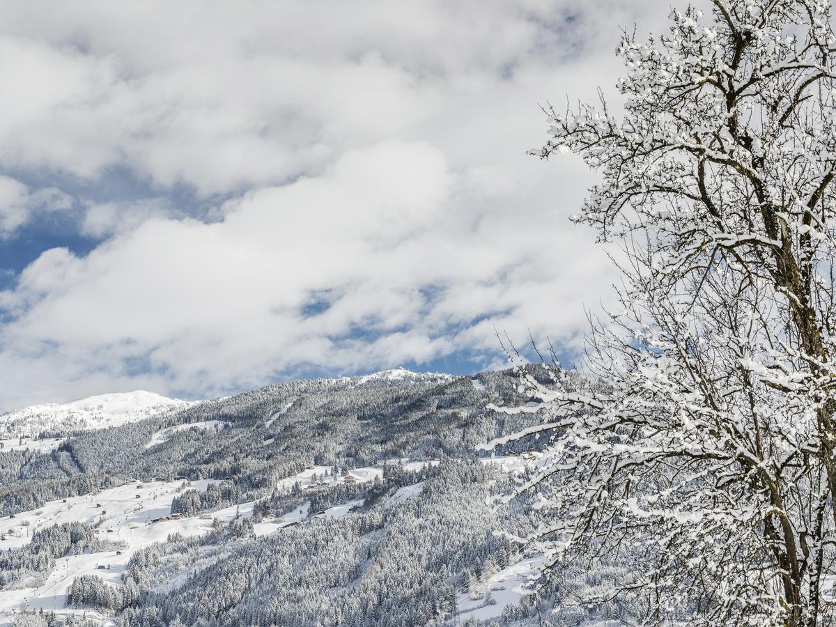 Tirol Appartement Haus Zillertal Zell am Ziller Exterior foto
